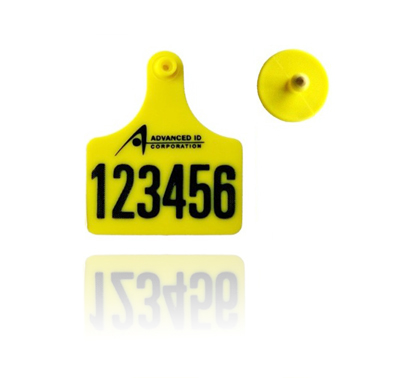 TPUƵǩ SL-HF19(ͺţSL-HF19)